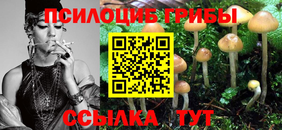 Йошкар-Ола  ГАШ  Вход с VPN  COCAIN  APVP СК   LSD-25  Меф МЯУ МЯУ кристаллы  Марихуана 